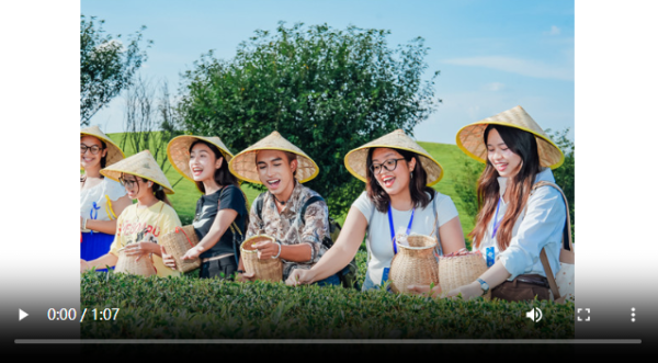 九鼎 机遇中国 多彩贵州｜干了这杯新茶饮！中国茶新表达“圈粉”海外青年_大皖新闻 | 安徽网